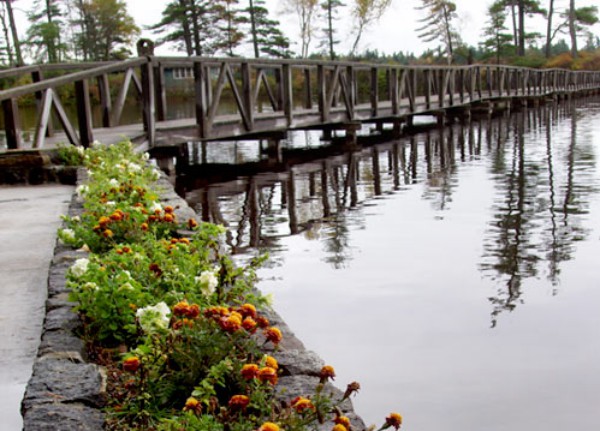 Along The  Footbridge